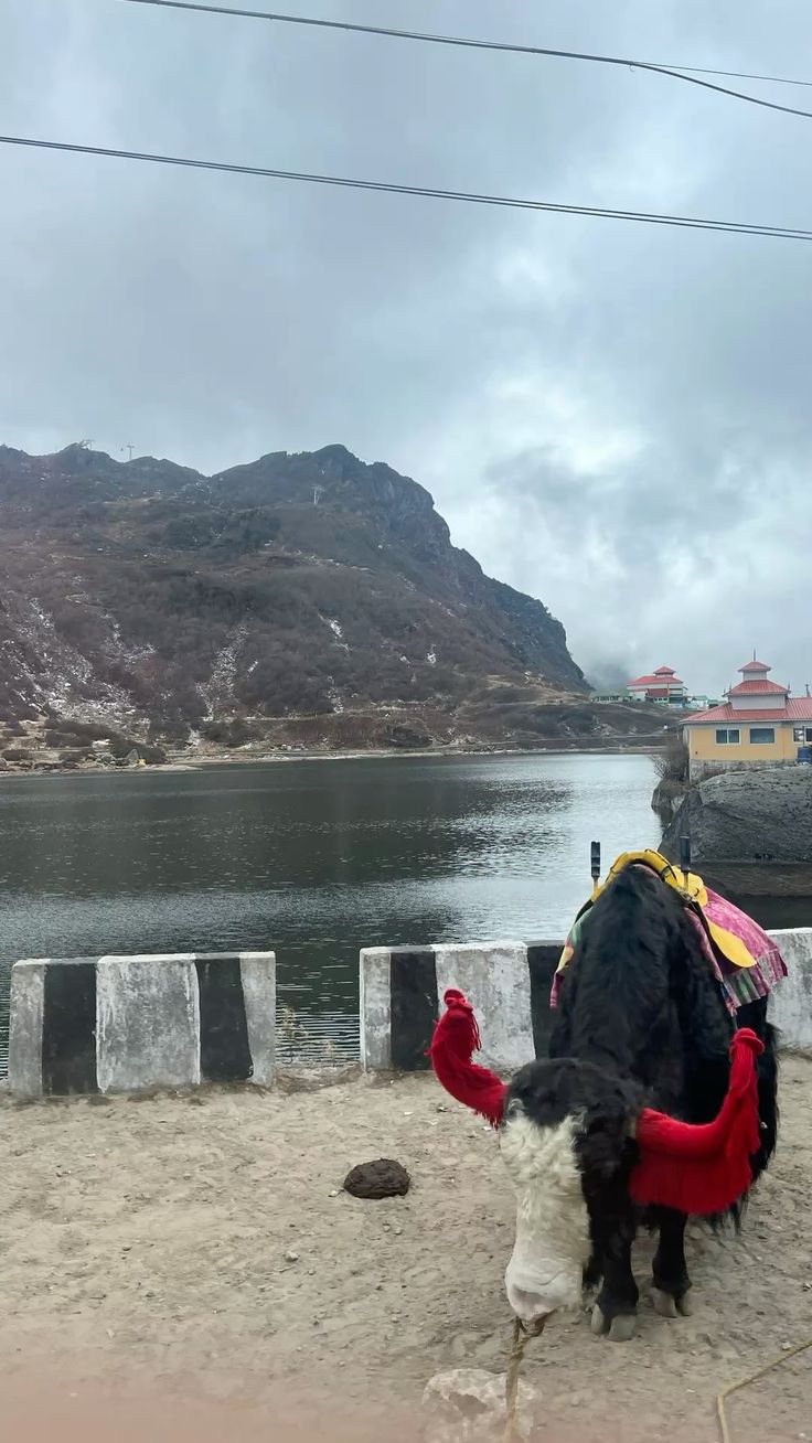 Gangtok , pelling & darjeeling
